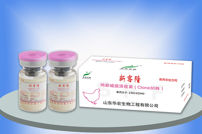 雞新城疫活疫苗（Cl one 30）