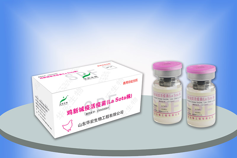 雞新城疫活疫苗（La Sota株）