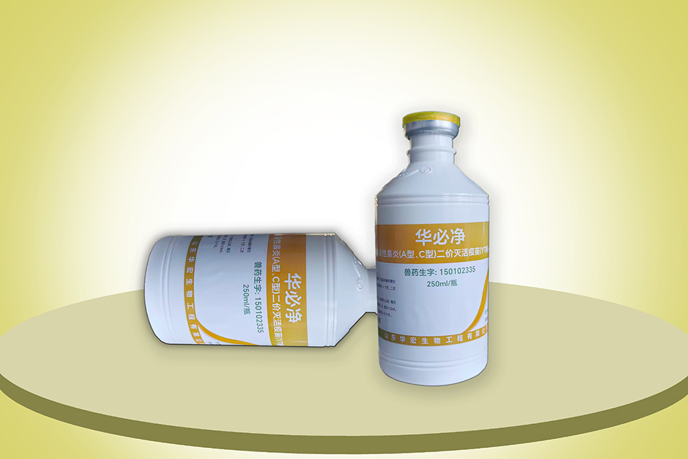 雞傳染性鼻炎（A型、C型）二價(jià)滅活疫苗（YT株+JN株）